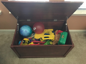 Toy or Storage Chest